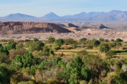 san pedro de atacama _21.JPG