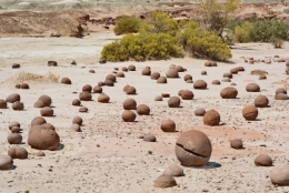 09) ischigualasto 12.jpg