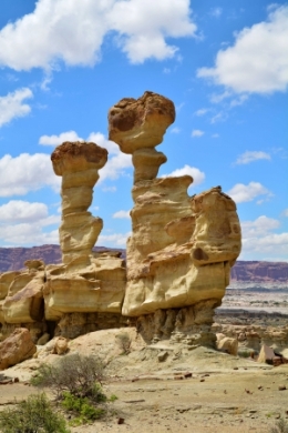 09) ischigualasto 19.jpg