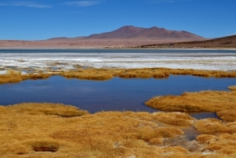 salar de tara _07.JPG