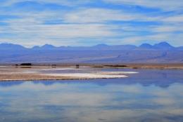 Salar d'atacama 15.jpg