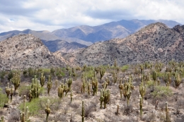 quilmes ruines 17.JPG