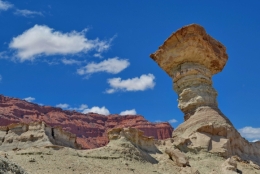 09) ischigualasto 25.jpg