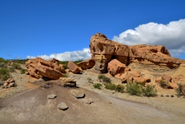 09) ischigualasto 04.jpg