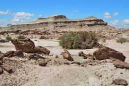 09) ischigualasto 15.jpg