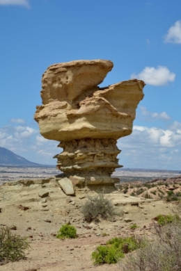 09) ischigualasto 22.jpg