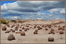 07) Parc Ischigualasto.JPG