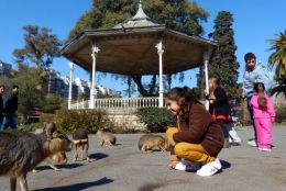 zoo buenos aires_05.JPG