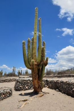 quilmes ruines 08.JPG