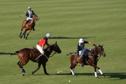 campo de polo buenos aires 12.JPG