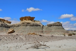 09) ischigualasto 27.jpg