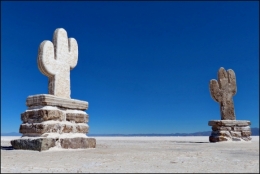 Salinas grandes _00a.jpg