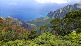 kauai 17.jpg