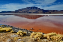 laguna colorada 16.JPG