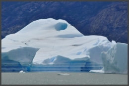 lago argentino_16.JPG