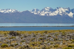 el calafate_12.JPG