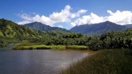 kauai 03.jpg