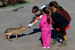 zoo buenos aires_04.JPG