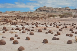 09) ischigualasto 13.jpg