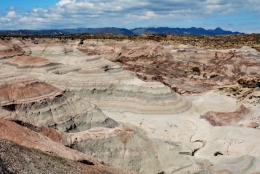 09) ischigualasto 07.jpg