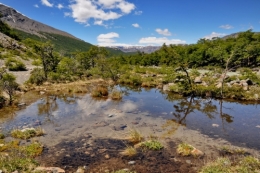 laguna de torre_el chalten 07.JPG