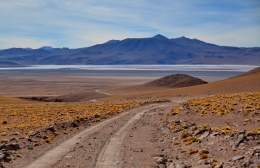 laguna colorada 04.JPG