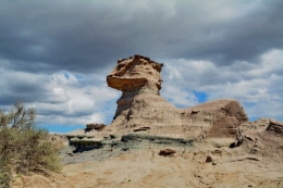 09) ischigualasto 11.jpg