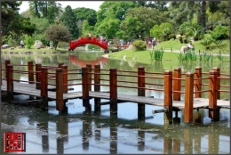 jardin japones buenos aires_09.jpg