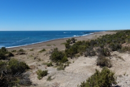 peninsule valdes_32.JPG