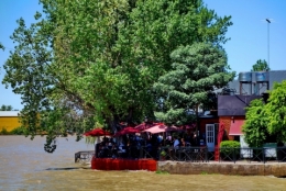 tigre buenos aires_04.JPG