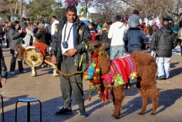 feria mataderos buenos aires_23.JPG