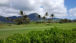 kauai 23.jpg