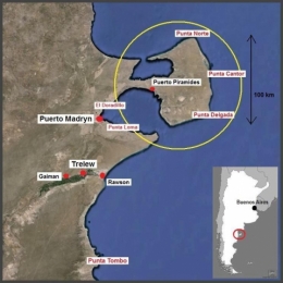 Peninsule Valdès 3.jpg