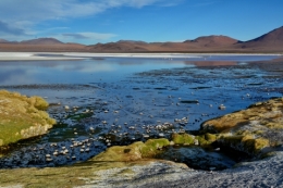 laguna colorada 17.JPG