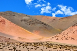 Laguna brava 29bb.jpg