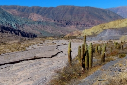 purmamarca _21.jpg