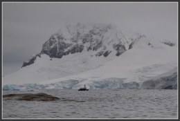 Danko Island 22.JPG