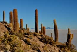 salar uyuni 08.JPG