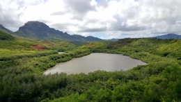 kauai 25.jpg