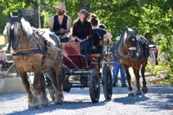 2026 Vendanges à Roubichoux