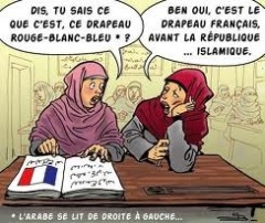 drapeaufrancais.jpg