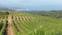 20130613_074723.jpg