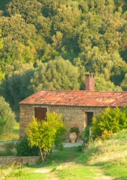 location,vigne,vin,domaine,gite,propriano,valinco