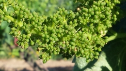 20130613_073209.jpg