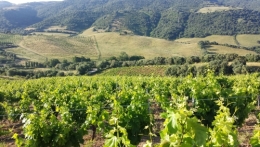 20130613_073817.jpg