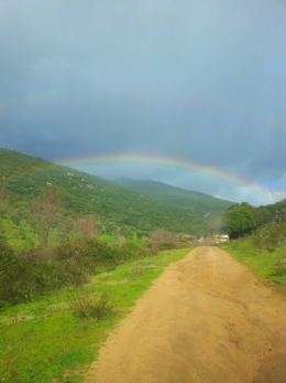 20130114_135942.jpg