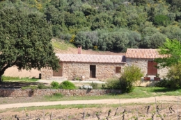 location,vigne,vin,domaine,gite,propriano,valinco