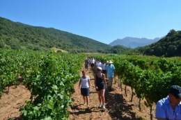 Sant Armetu 2012 (6).jpg