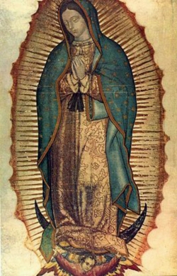 T2 : Le manteau miraculeux de ND de Guadalupe