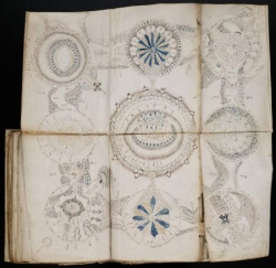 L’indéchiffrable manuscrit de Voynich